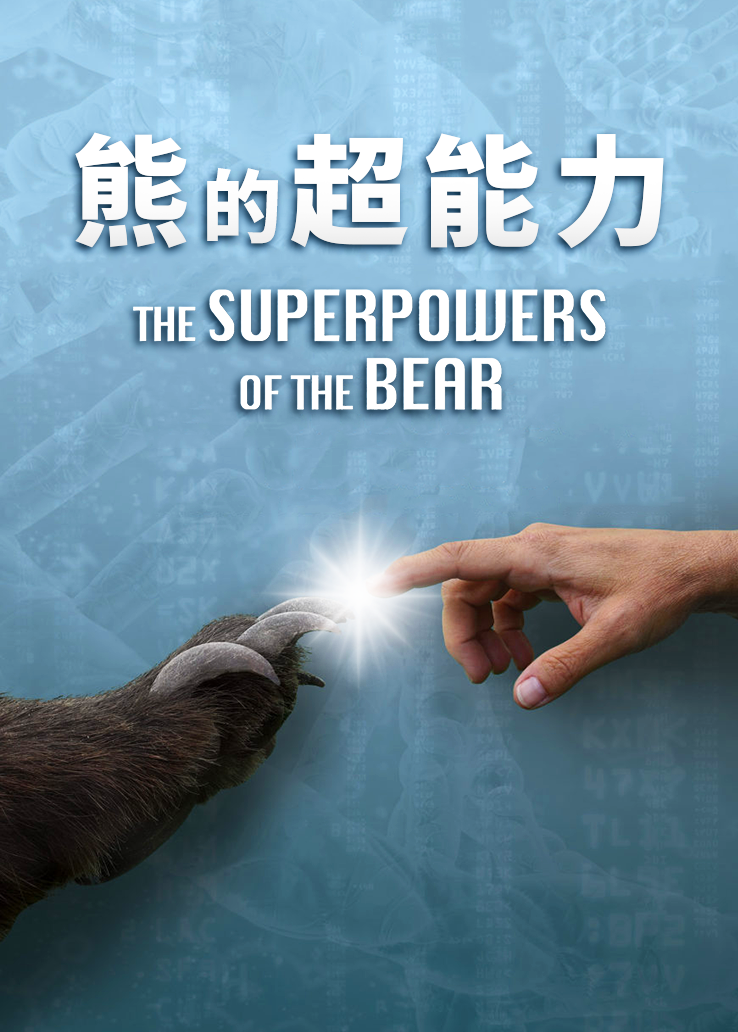 熊的超能力