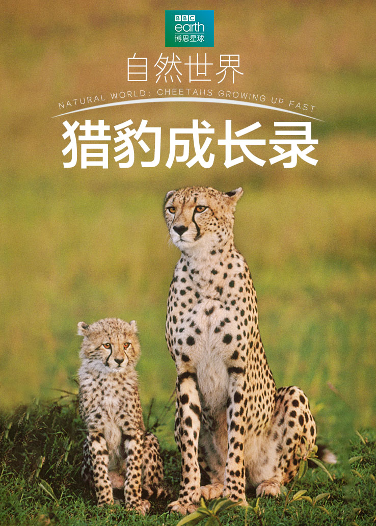 自然世界：猎豹成长录
