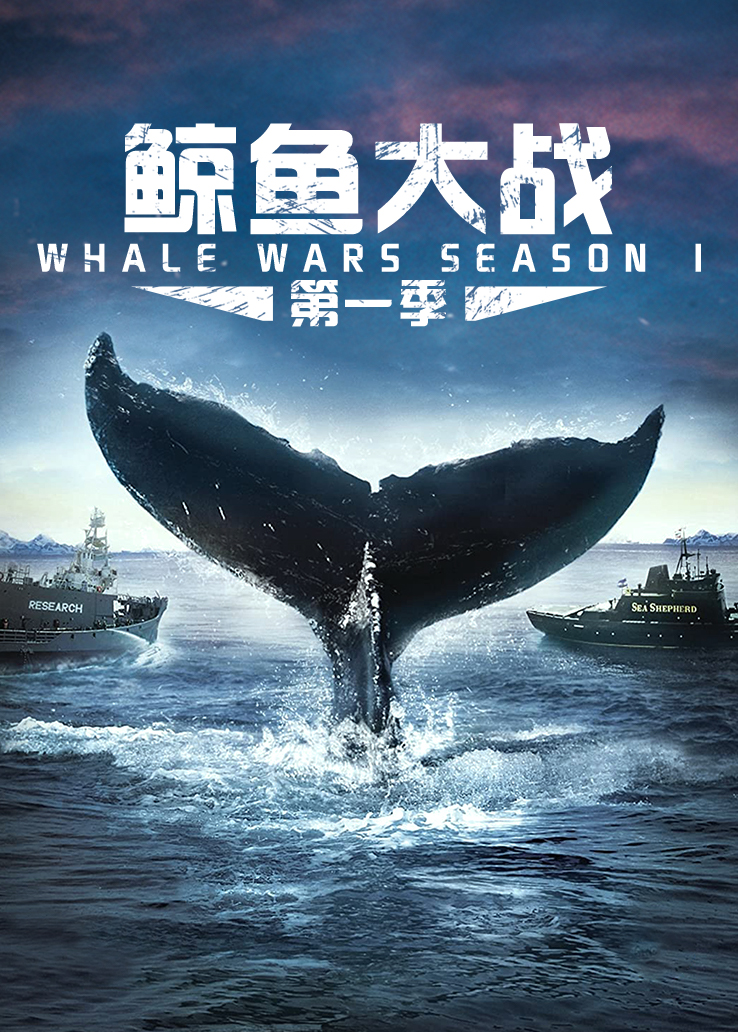 鲸鱼大战第1季