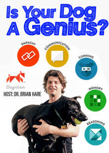 你的狗狗是天才吗