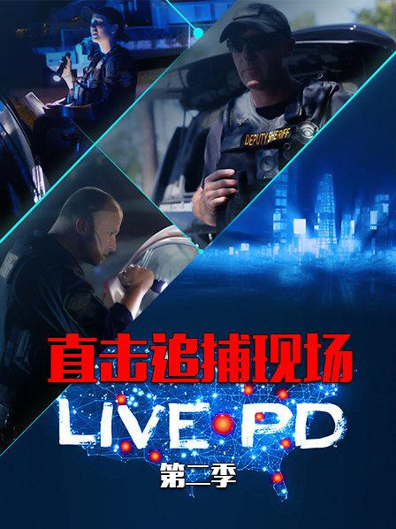 直击追捕现场：LIVEPD第2季