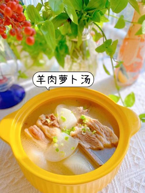 羊肉萝卜汤(1)